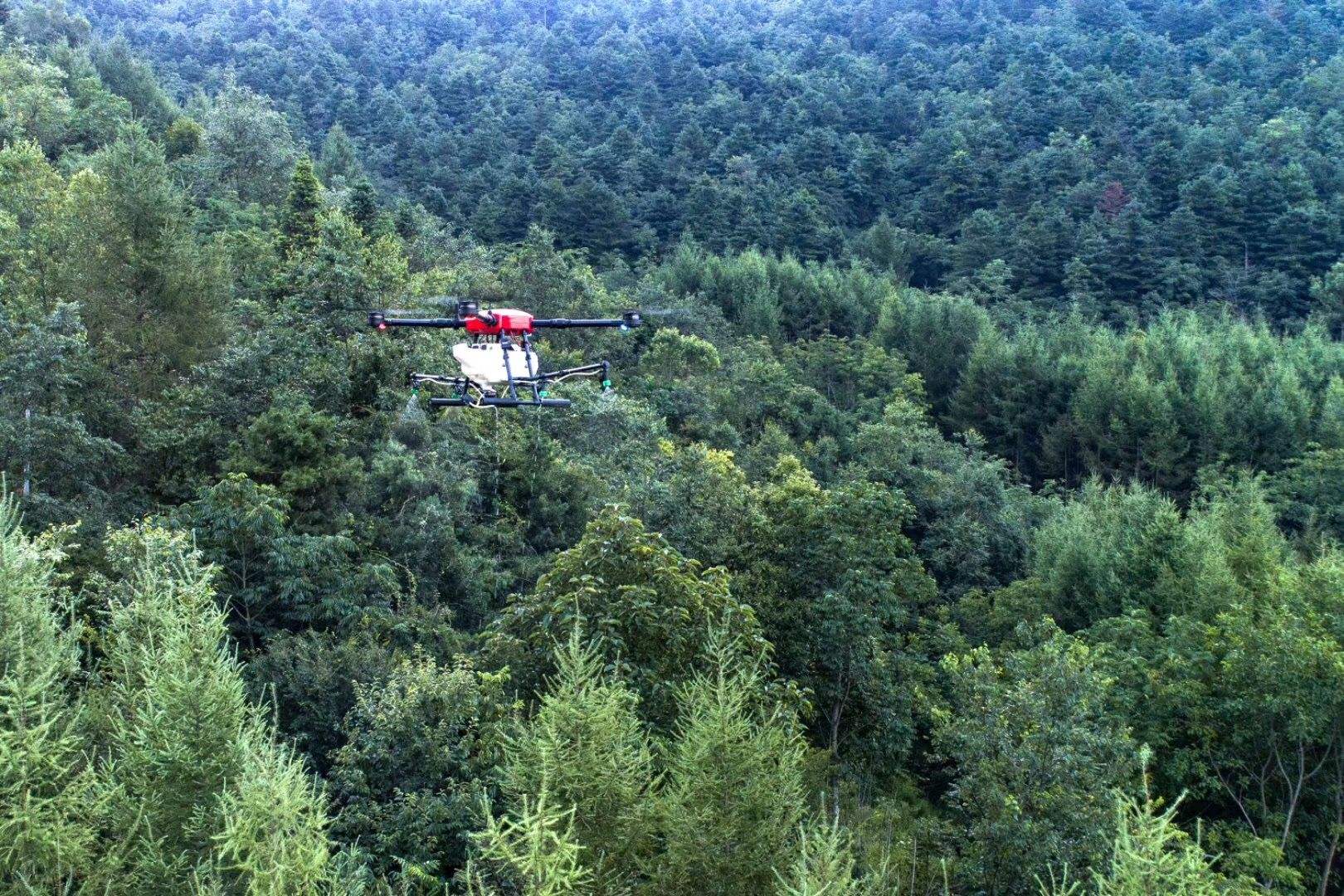 农林巡检.jpg
